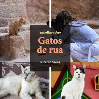 Kniha Gatos de rua: Um olhar sobre Ricardo Viana