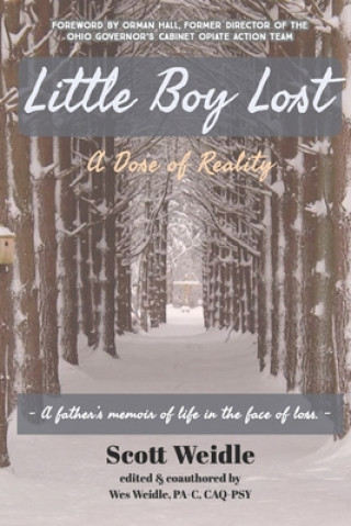 Carte Little Boy Lost: A Dose of Reality Wes Weidle