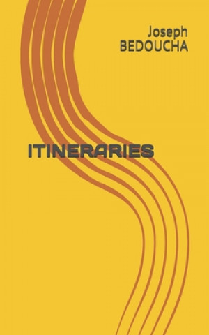 Knjiga Itineraries Barbara Shapiro