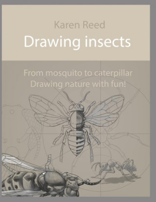 Kniha Drawing insects: From mosquito to caterpillar. Drawing nature with fun! Karen Reed