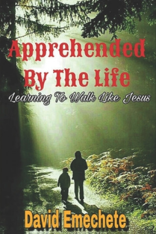 Kniha Apprehended By The Life: Learning To Walk Like Jesus David Emechete