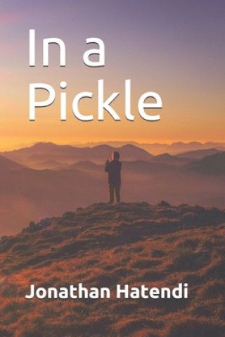 Livre In A Pickle Jonathan Hatendi