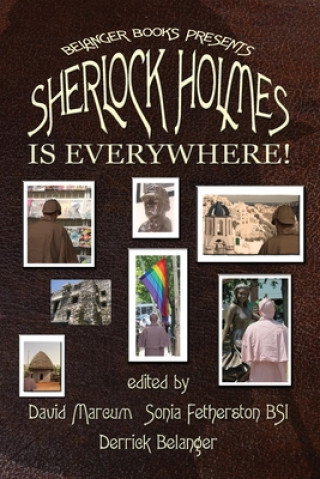 Knjiga Sherlock Holmes is Everywhere! Derrick Belanger