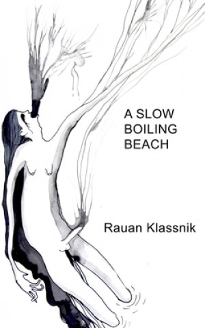 Knjiga A Slow Boiling Beach Rauan Klassnik