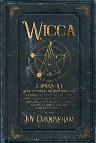 Kniha Wicca Joy Cunningham