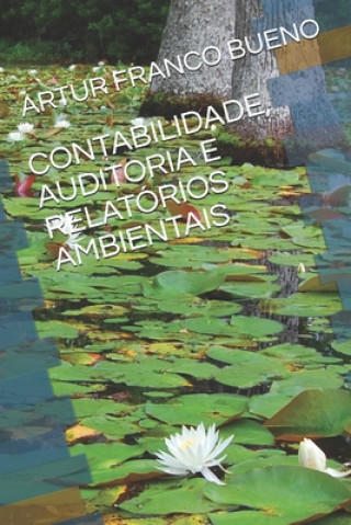 Livre Contabilidade, Auditoria E Relatórios Ambientais Artur Franco Bueno