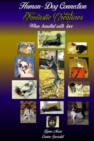 Boek Fantastic Creatures: When handled with love Lynne Marie