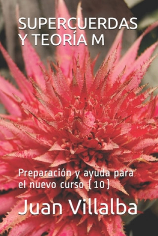 Könyv Supercuerdas Y Teoría M: Preparación y ayuda para el nuevo curso (10) Juan Villalba