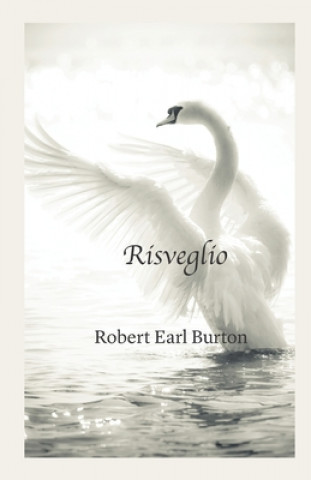 Buch Risveglio Dianne Crosby