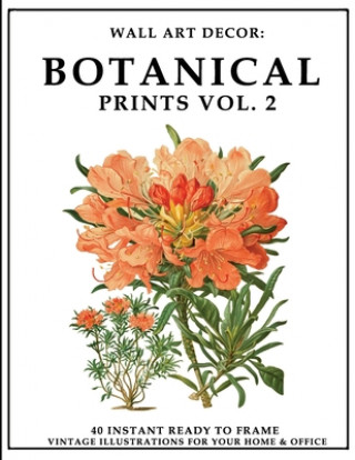 Knjiga Wall Art Decor: Botanical Prints Vol. 2: 40 Instant Ready to Frame Colorful Botanical Illustration Art Prints for Your Home & Office D P2g Solutions