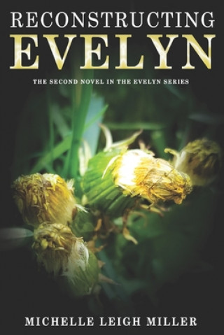 Buch Reconstructing Evelyn Michelle Leigh Miller