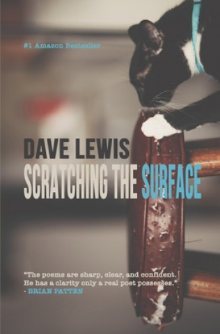 Book Scratching The Surface Dave Lewis