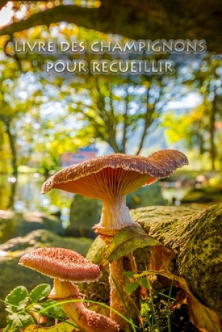 Carte Livre des champignons pour recueillir: Spammerl et champignons - le livre pour les vrais amis de la nature et les cueilleurs de champignons Cueilleur de Champignons Journal