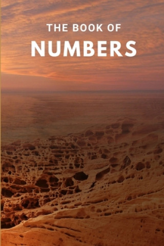 Book The Book Of Numbers Joe Mandera