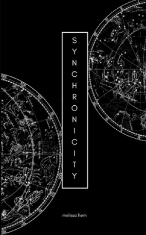 Könyv Synchronicity Melissa Hem