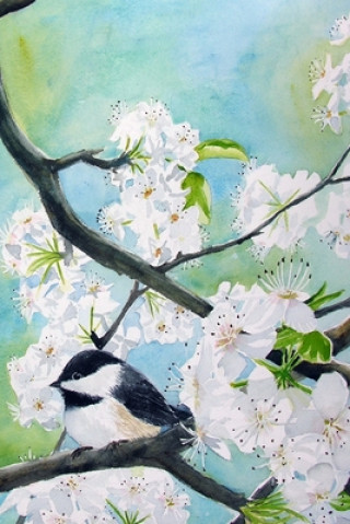 Knjiga Chickadee Elizabeth McRorie