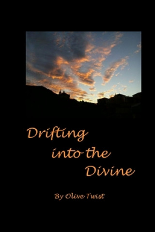 Boek Drifting into the Divine Sparrow
