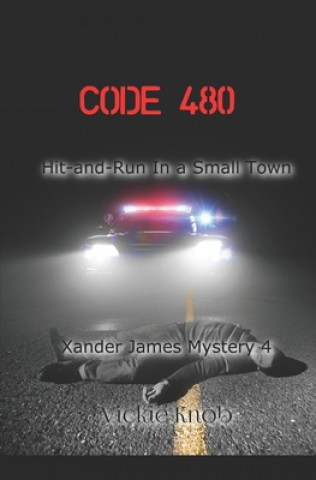 Kniha Code 480: Hit-and-Run in a Small Town Vickie Knob
