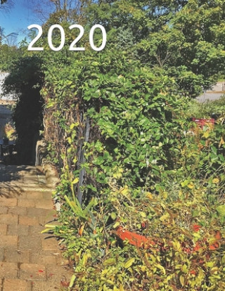 Knjiga 2020 Art Krauss