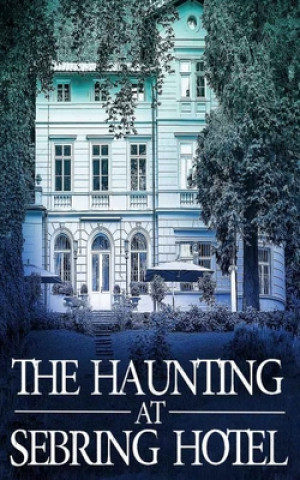 Kniha The Haunting at Sebring Hotel J. S. Donovan