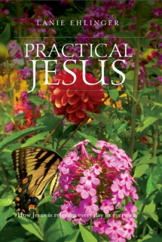 Carte Practical Jesus: How Jesus is relevant every day in every way. Lanie Barry Ehlinger