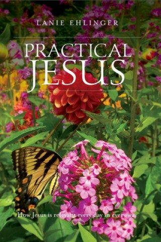 Libro Practical Jesus: How Jesus is relevant every day in every way. Lanie Barry Ehlinger