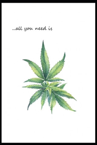 Kniha ...All You Need is Marijuana: Documenting Ideas During Cannabis Smoke Sessions Micki Quinn