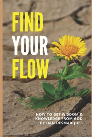 Carte Find Your Flow: How to Get Wisdom and Knowledge from God Dan Desmarques