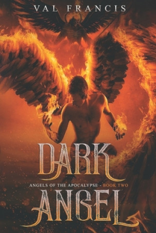 Livro Dark Angel Laura McNellis