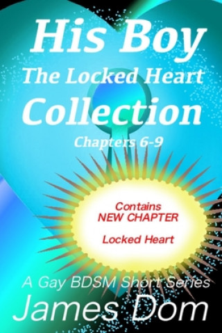 Kniha His Boy: The Locked Heart Collection: A Gay BDSM Short Story Series James Dom