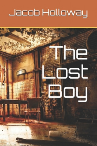 Buch The Lost Boy Rebecca Fancher