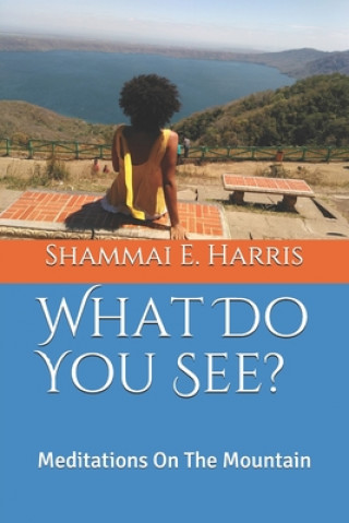 Libro What Do You See: Meditations On The Mountain Shammai E. Harris