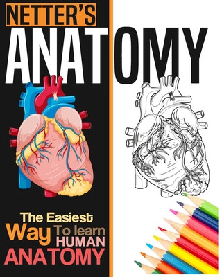 Carte Netter's Anatomy Coloring Book: Neuroanatomy Human Body Workbook Bengen Studios