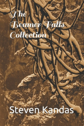 Könyv Beamer Falls Collection Steven E. Kandas