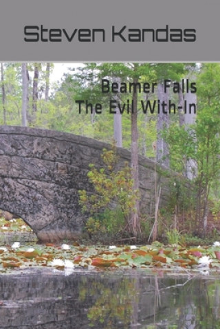 Knjiga Beamer Falls - The Evil With-In Steven E. Kandas
