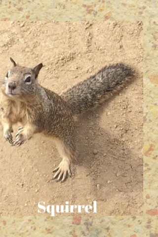 Boek Squirrel Lisa Bird