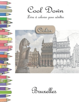 Kniha Cool Down [Color] - Livre á colorier pour adultes: Bruxelles York P. Herpers