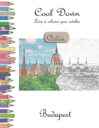 Knjiga Cool Down [Color] - Livre a colorier pour adultes York P. Herpers