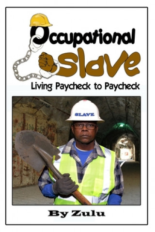 Knjiga Occupational Slave: Living from paycheck to paycheck Metrico Vonshay Cohen-Noel