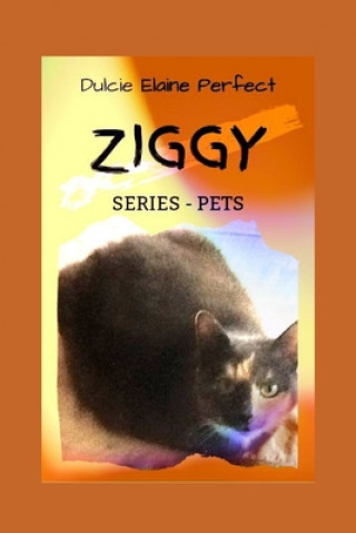 Knjiga Ziggy Dulcie Elaine Perfect