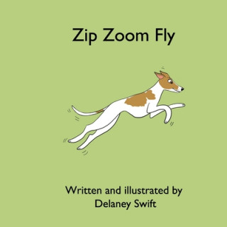 Książka Zip Zoom Fly Delaney Swift