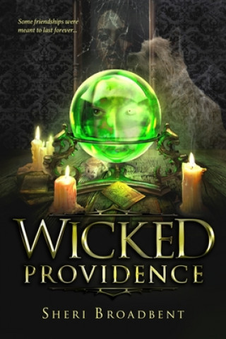 Knjiga Wicked Providence Sheri Broadbent