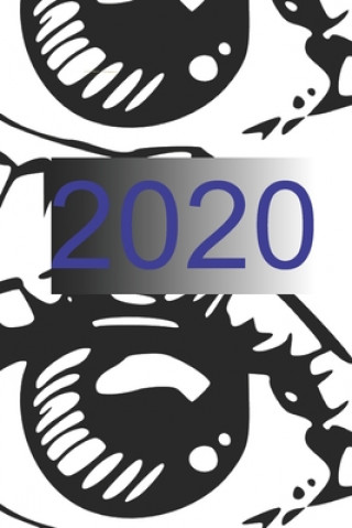 Knjiga 2020 Penny Gold Books