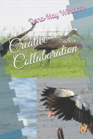 Knjiga Creative Collaboration Dana-May Winthrop