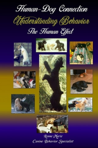 Carte Understanding Behavior: The Human Effect Lynne Marie