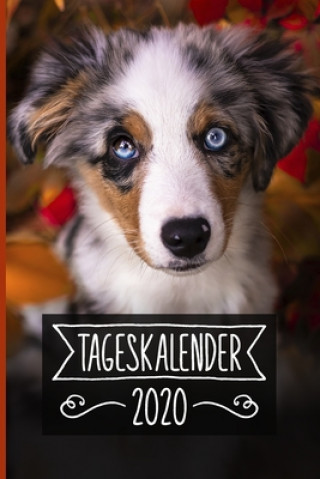 Kniha Tageskalender 2020: Terminkalender ca DIN A5 weiß über 370 Seiten I 1 Tag eine Seite I Jahreskalender I Australian Shepherd I Hunde Australian Shepherd Tageskal Publishing