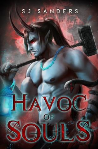 Libro Havoc of Souls S. J. Sanders