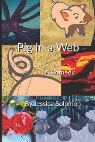 Knjiga Pig in a Web: A Comedy Novel Jessica Solomon