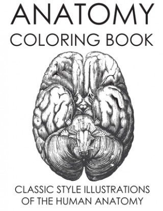 Book Anatomy Coloring Book: Classic Style Illustrations of the Human Anatomy George Doodler