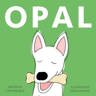 Knjiga Opal Anna Shawver